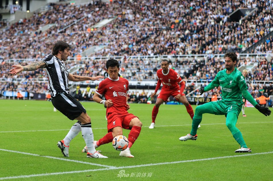 亲情的支持 亲情的支持